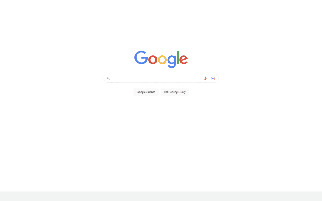 Google Search Browser